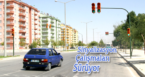 Sinlayizasyon Çalışmaları