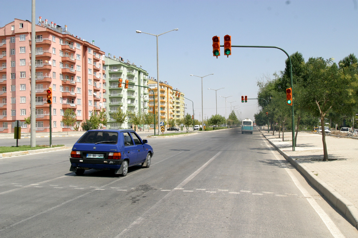 Sinlayizasyon Çalışmaları