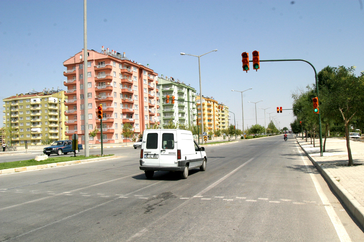 Sinlayizasyon Çalışmaları