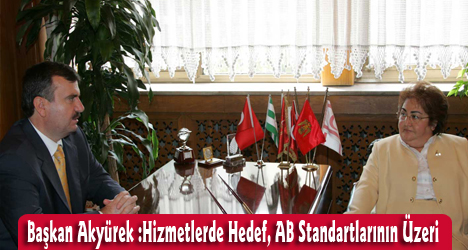 Hizmetlerde Hedef, Ab Standartlarının Üzeri