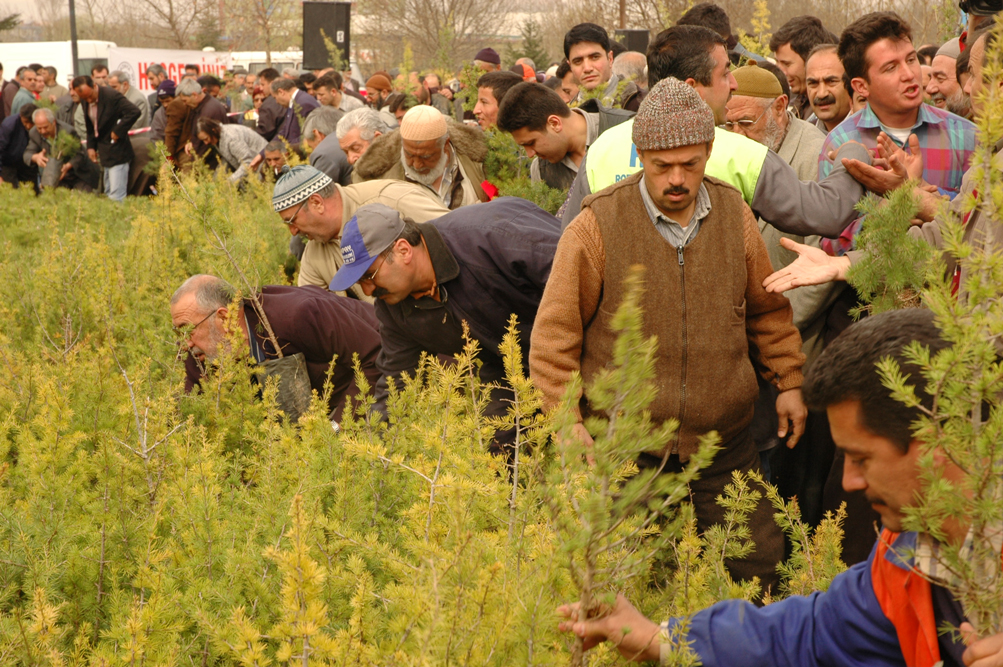 Ücretsiz 125 Bin Fidan Dağıtıldı