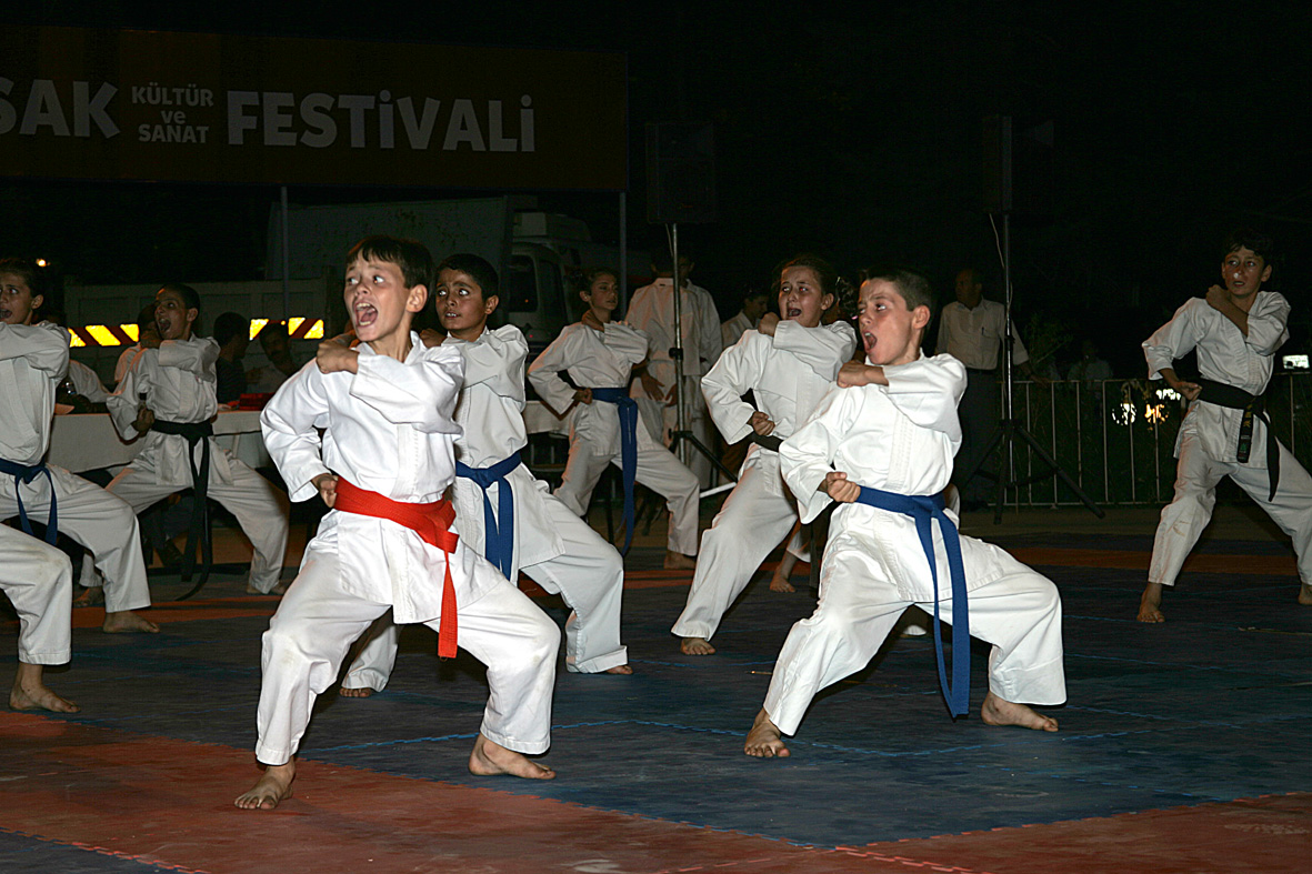 Altınbaşak Festivali Karate Gösterileri İle Devam Etti