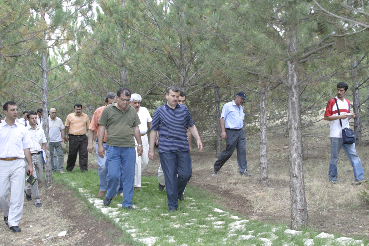 Konya Mevlana Kent Ormanı Halkın Hizmetine Açılıyor