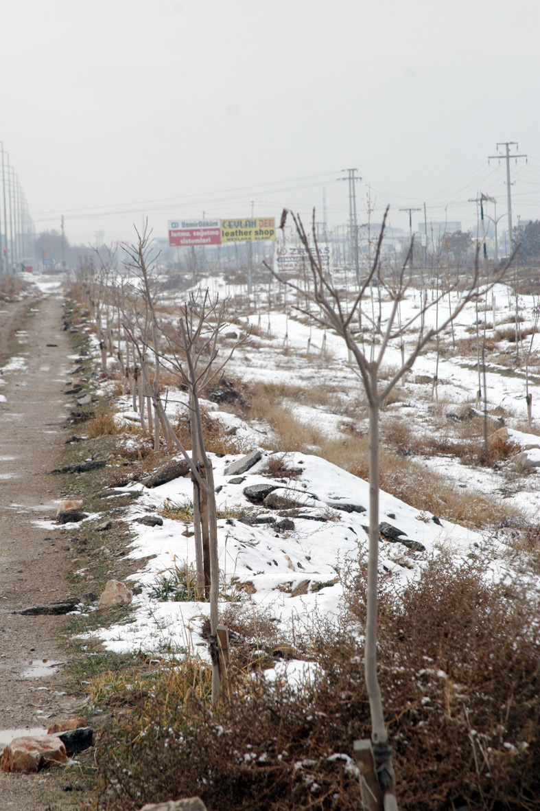 Ankara Çevre Yolu Orman Yoluna Dönüşüyor