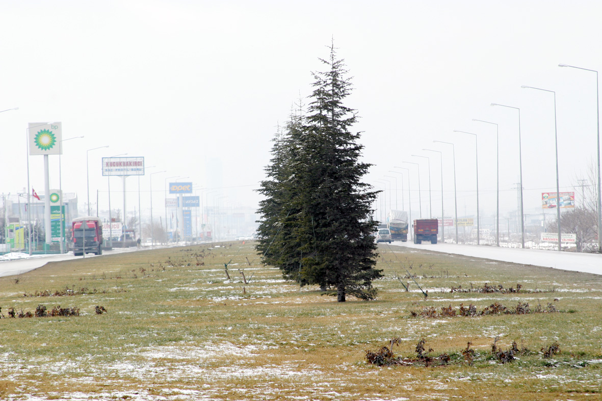 Ankara Çevre Yolu Orman Yoluna Dönüşüyor