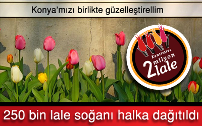 250 Bin Lale Soğanı Dağıtımı Başladı