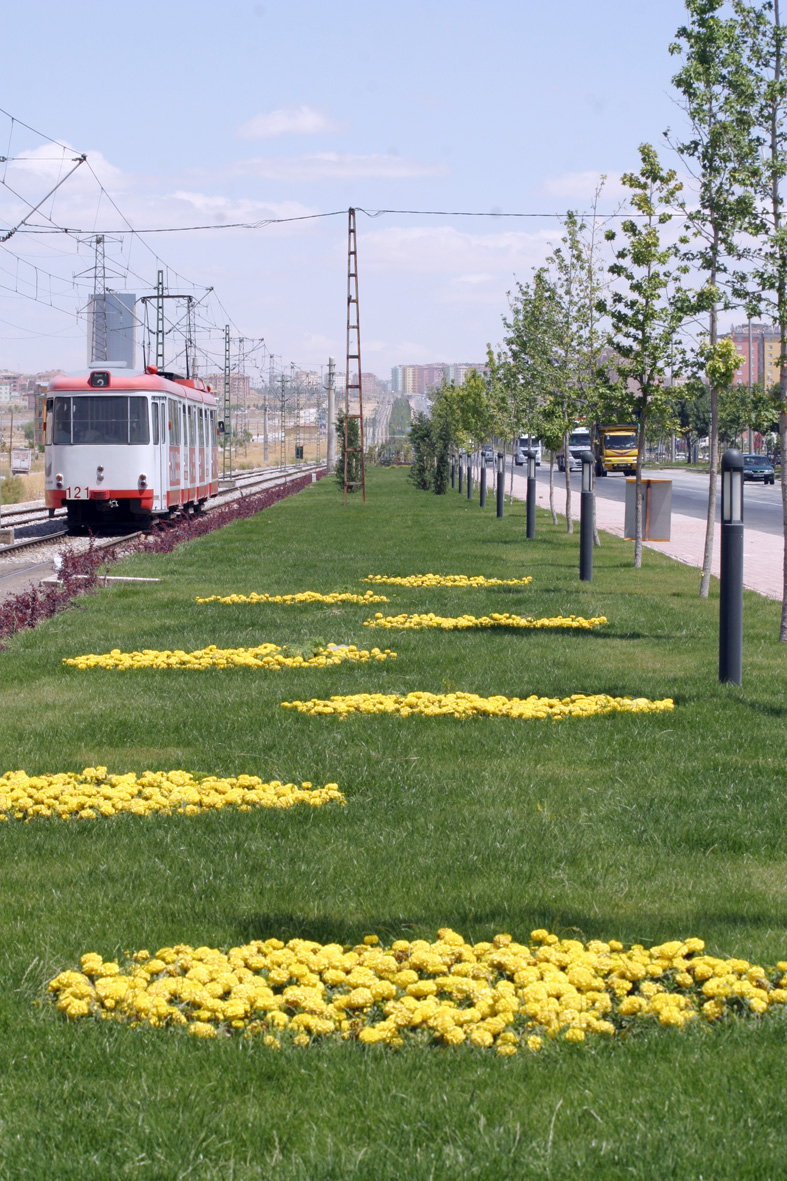 2 Milyon 25 Bin Fidanla Ağaçlandırmada Rekor