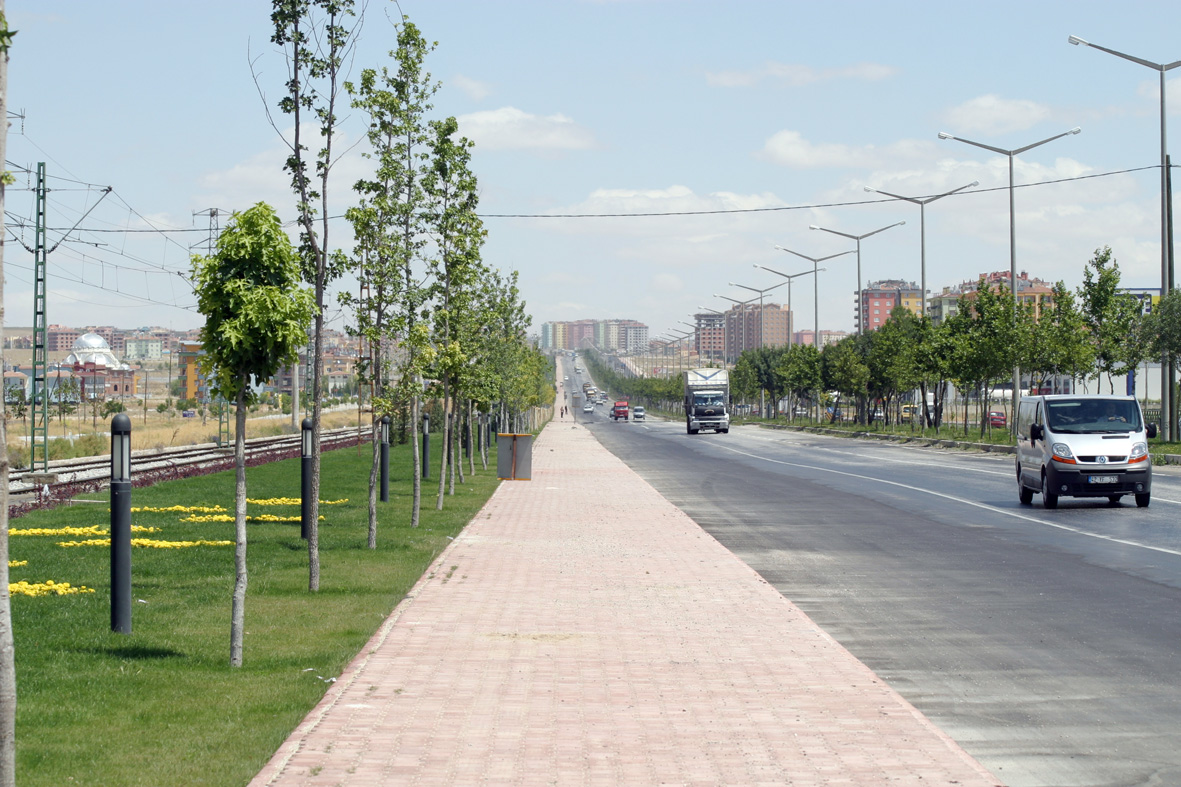 2 Milyon 25 Bin Fidanla Ağaçlandırmada Rekor