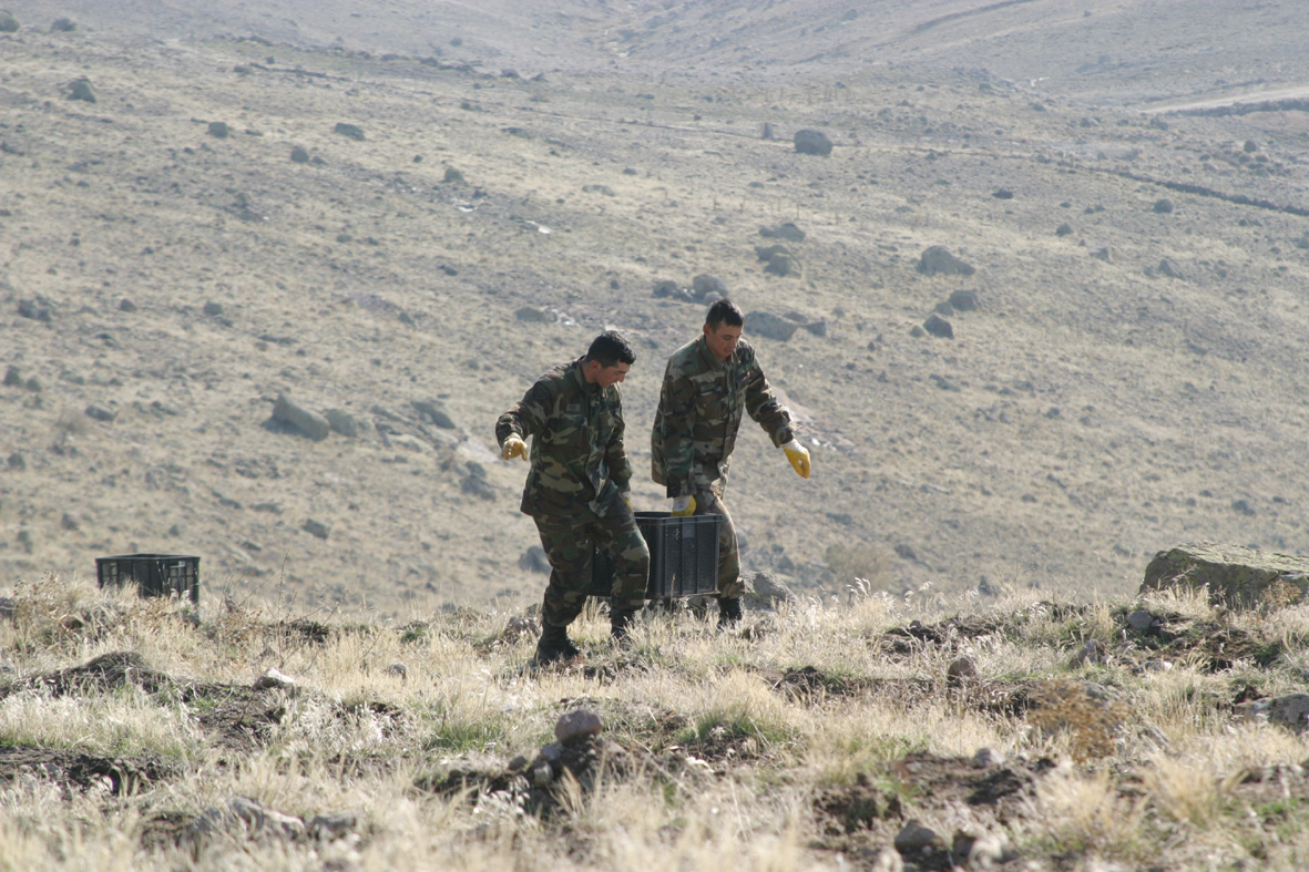 Takkeli Dağ'a 600 Bin Fidan