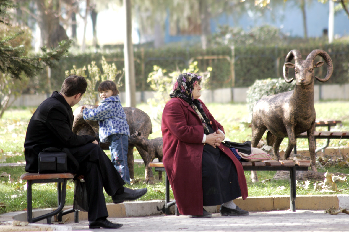 Yaban Koyunu Heykelleri İlgi Görüyor