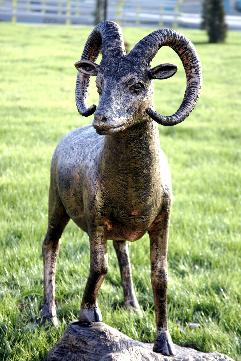 Yaban Koyunu Heykelleri İlgi Görüyor