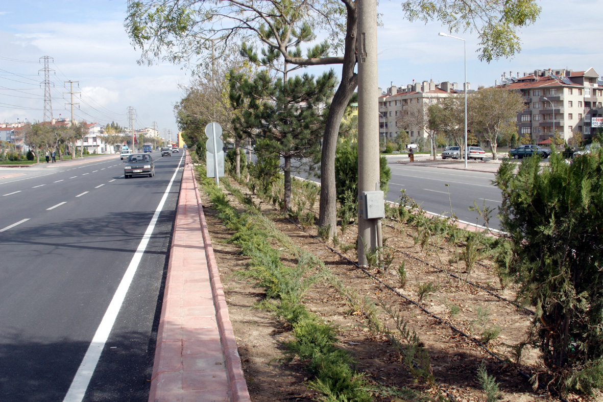 Beyşehir Çevre Yolu'nda Yeşil Kuşak Çalışması
