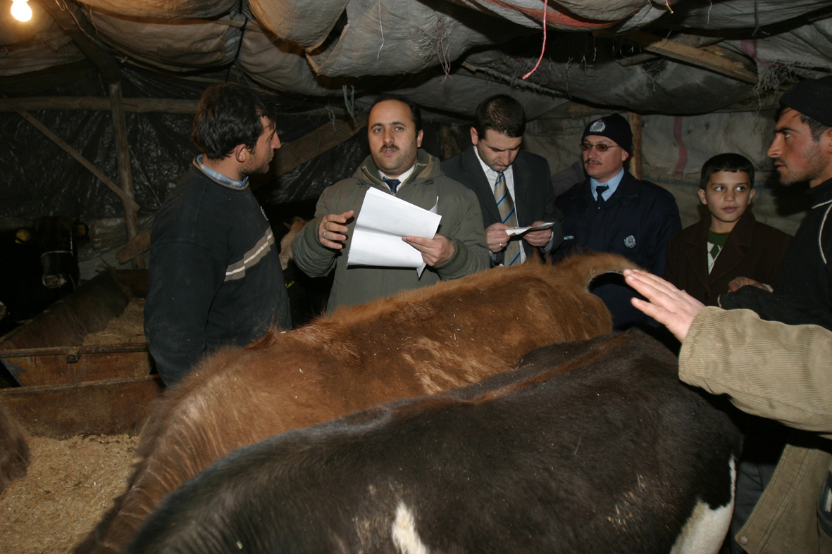 Kurban Bayramı 2007 Tedbirleri