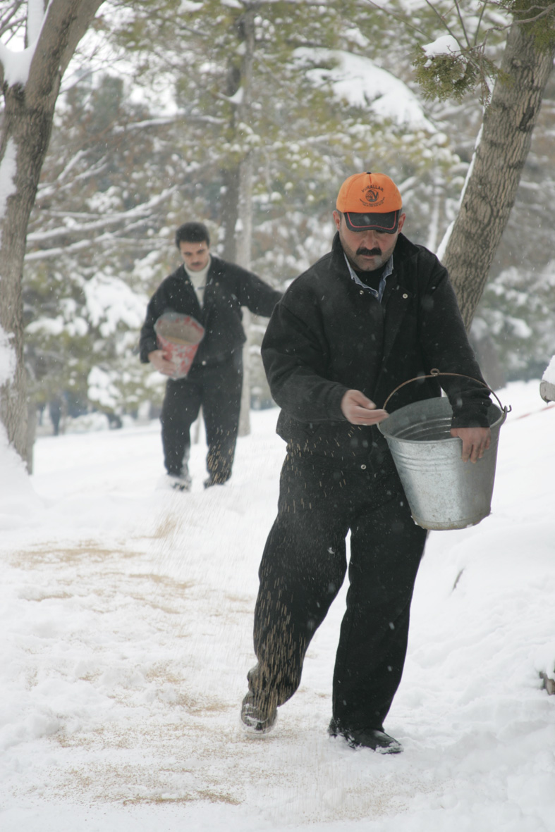 Kuşlara Yem Bırakıldı