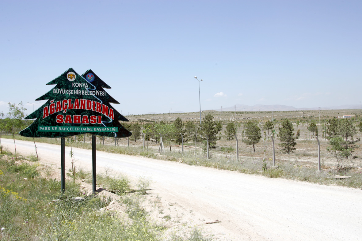 Kayacık Koruluğu'na 10 Bin Fidan Dikildi