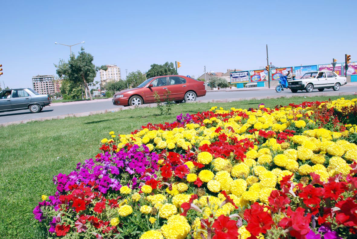 Konya Her Mevsim Çiçek Gibi