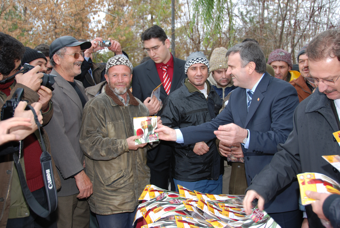 Lale Dağıtımı Başladı