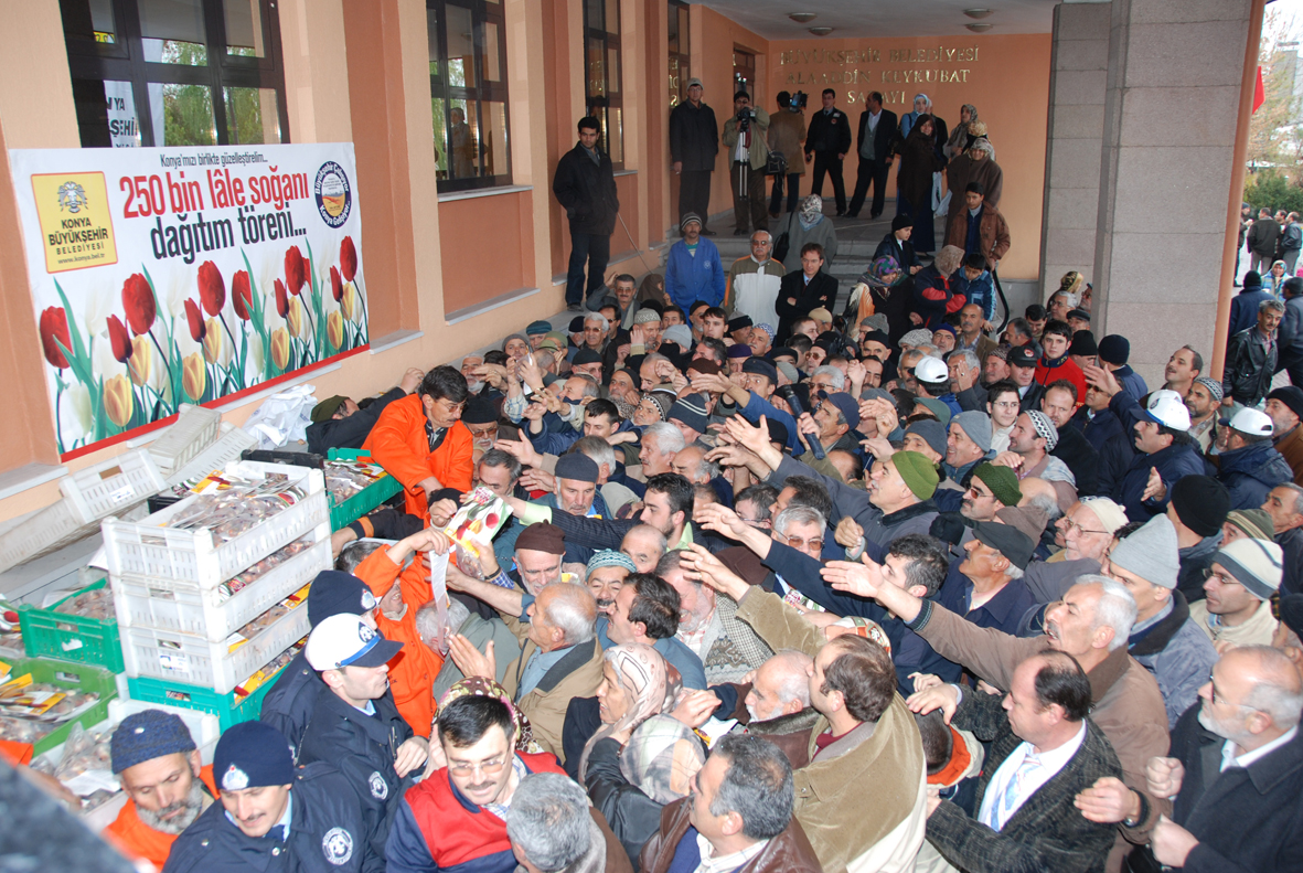 Lale Dağıtımı Başladı