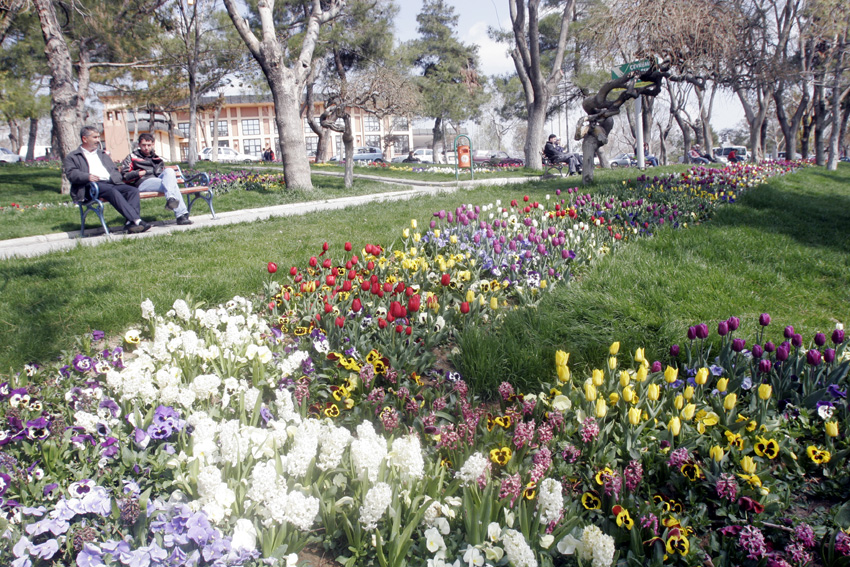 Konya'da 'Lale' Mevsimi