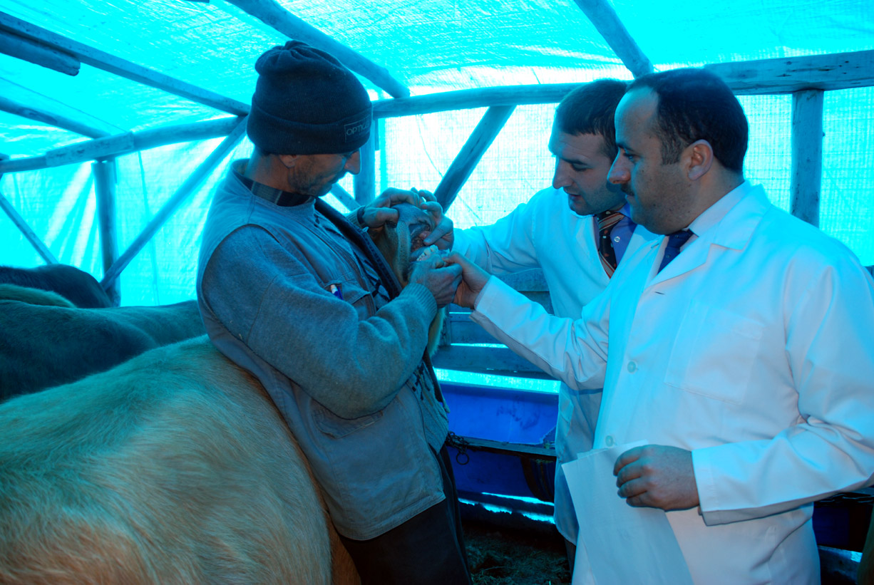 Kurban Satış Yerlerinde Denetimler Yapılıyor