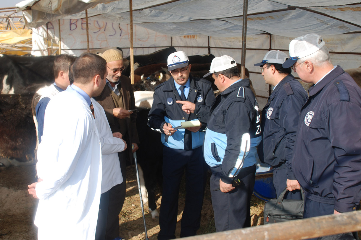 Kurban Satış Yerlerinde Denetimler Yapılıyor