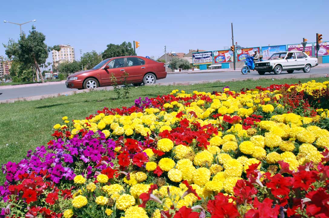 Konya Her Mevsim 'Çiçek' Gibi