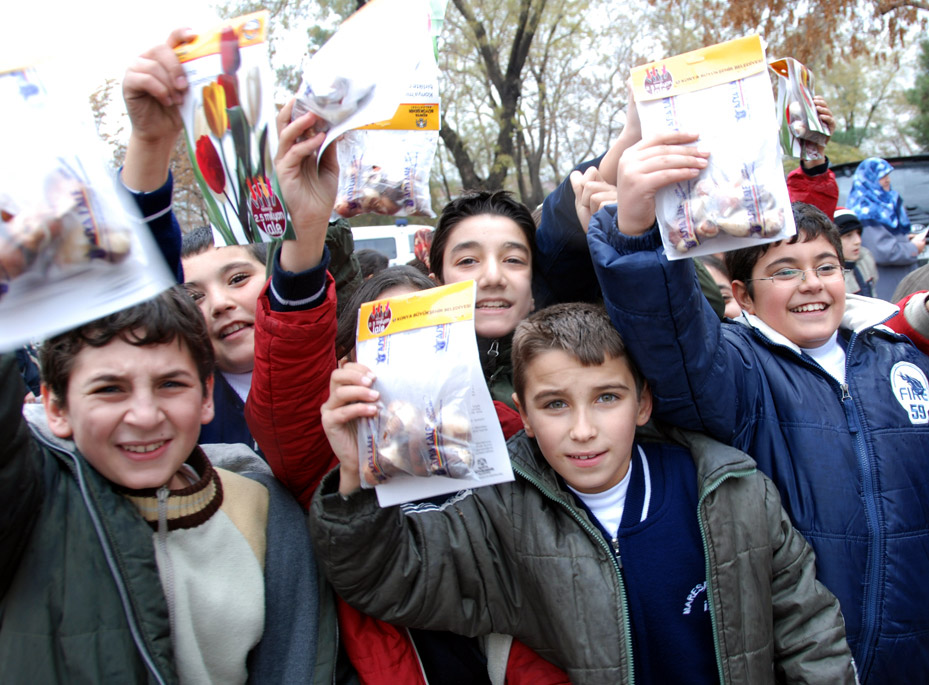 Büyükşehir Belediyesi 300 Bin Lale Soğanı Dağıtacak