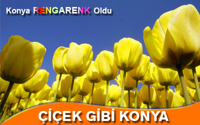 Konya, Lalelerle Rengarenk Oldu