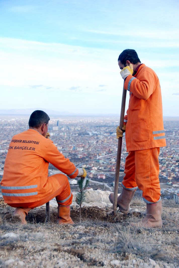 Büyükşehir Belediyesi Ağaçlandırma Çalışmaları