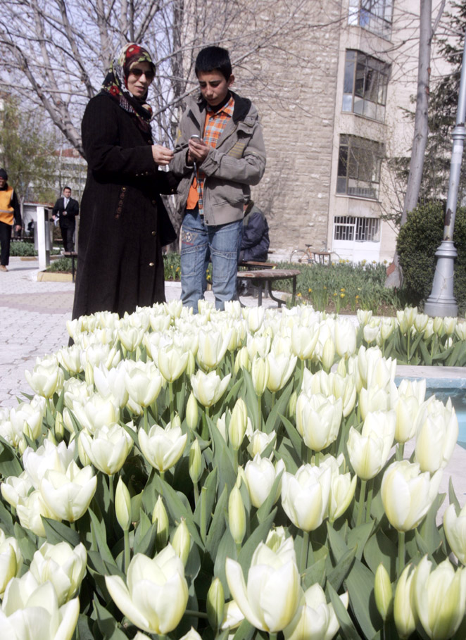 Konya'da Lale Mevsimi Başlıyor