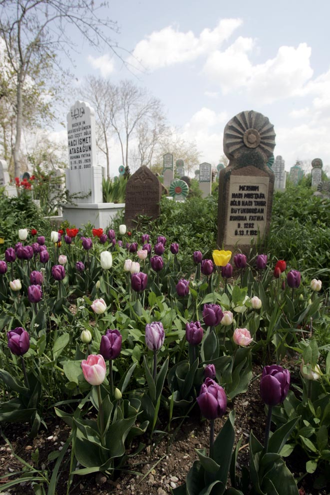 Mezarlıklarda Rengarenk Laleler Açtı