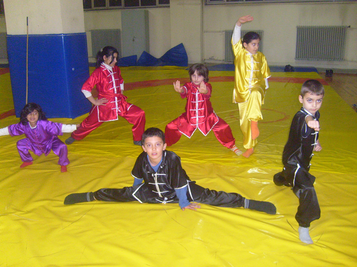 Büyükşehir Belediyespor Bünyesinde Wushu Branşı Açıldı