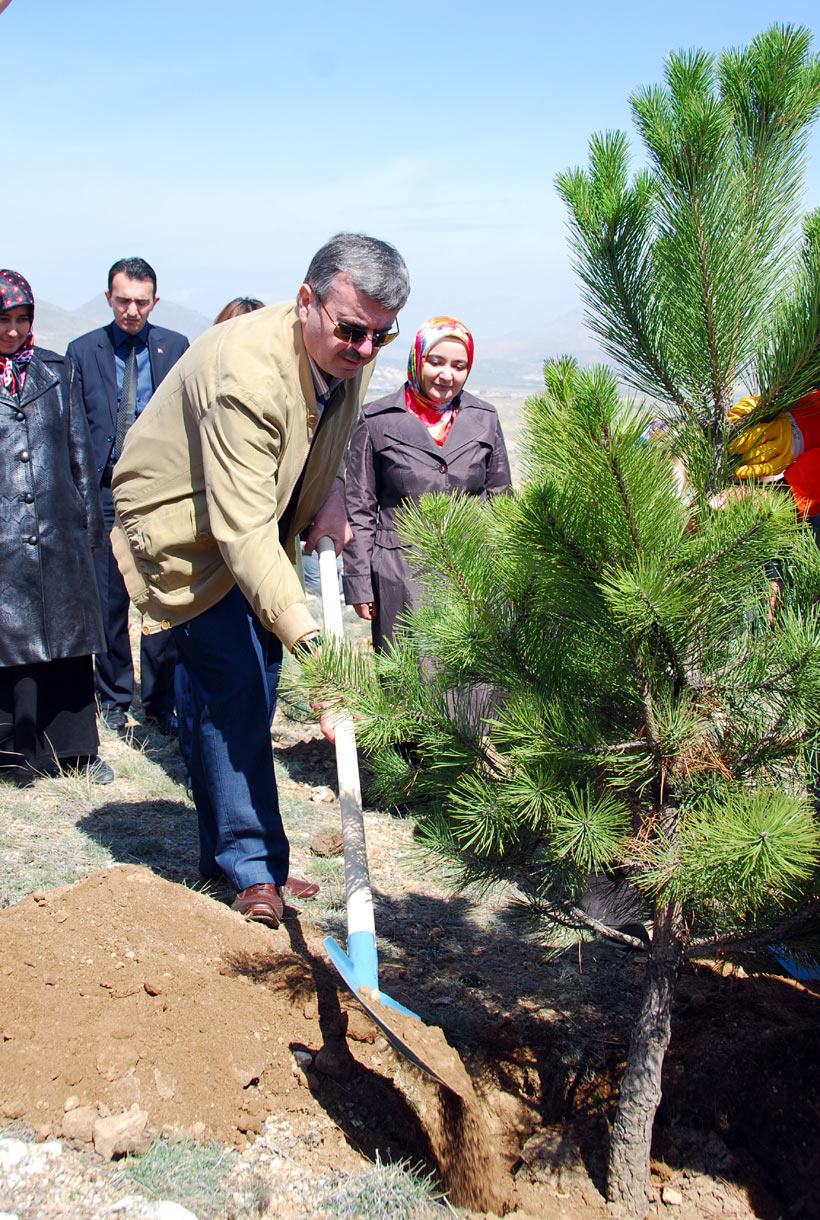 Başkan Akyürek Komek Hatıra Ormanı'na Fidan Dikti