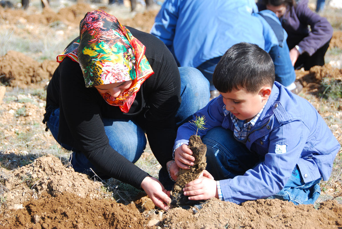 Başkan Akyürek Komek Hatıra Ormanı'na Fidan Dikti