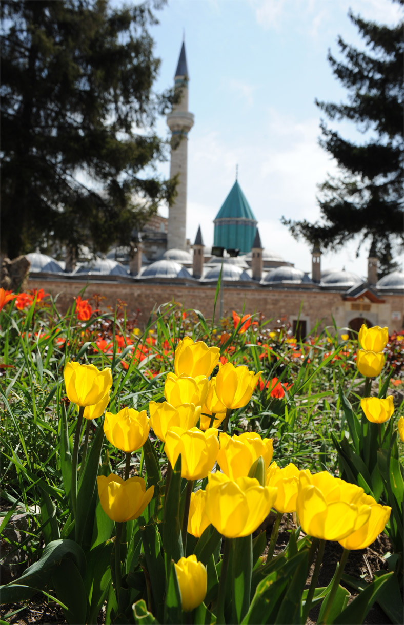 Konya, Lalelerle Rengarenk Oldu