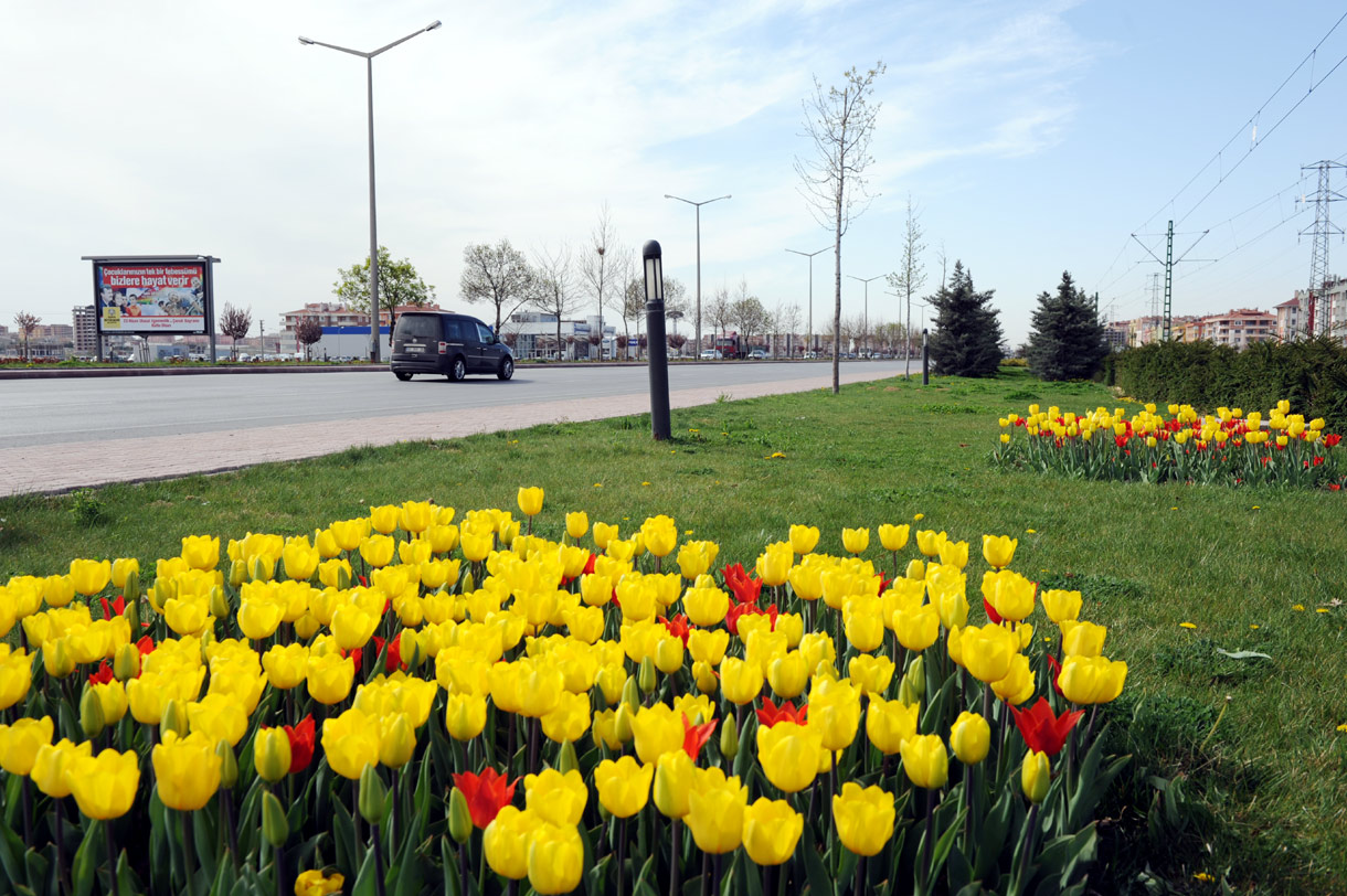 Konya, Lalelerle Rengarenk Oldu
