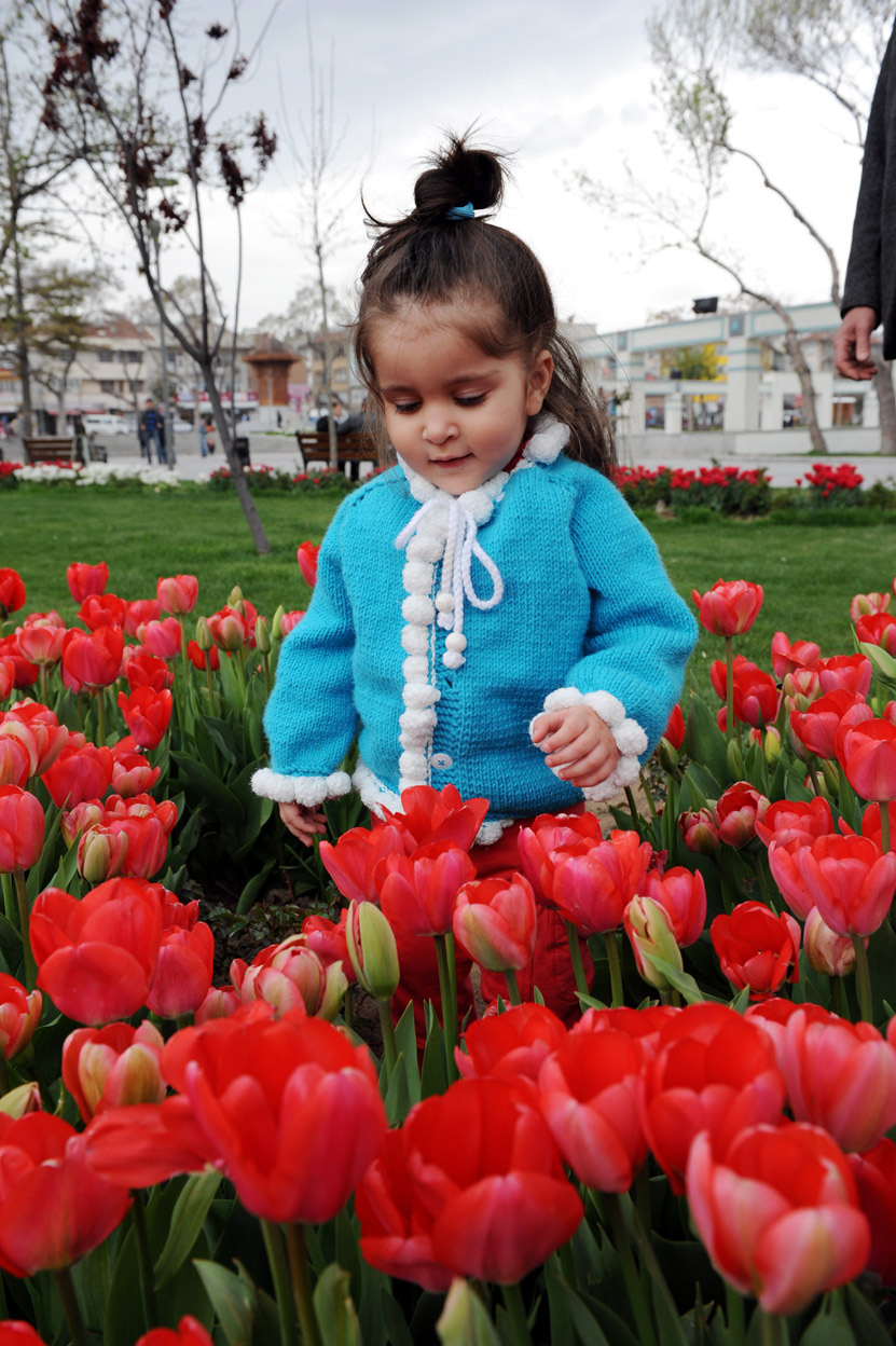 Konya, Lalelerle Rengarenk Oldu