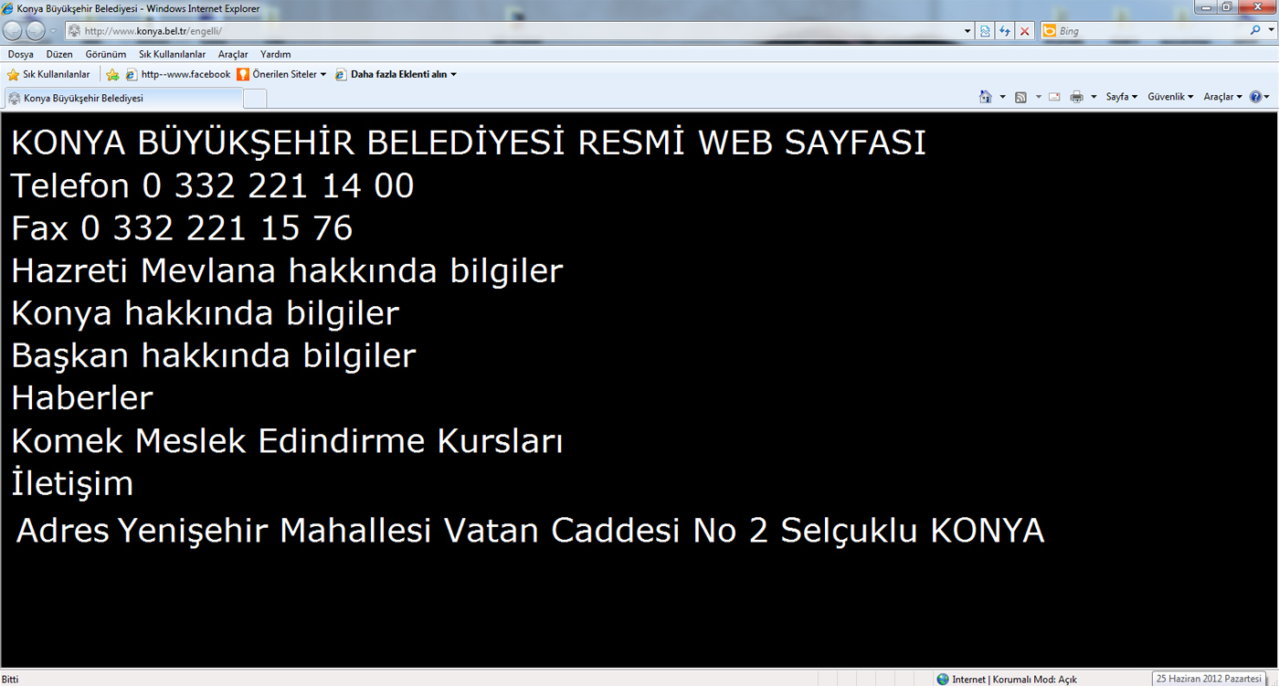 Büyükşehir'den Görme Engelliler İçin İnternet Sitesi