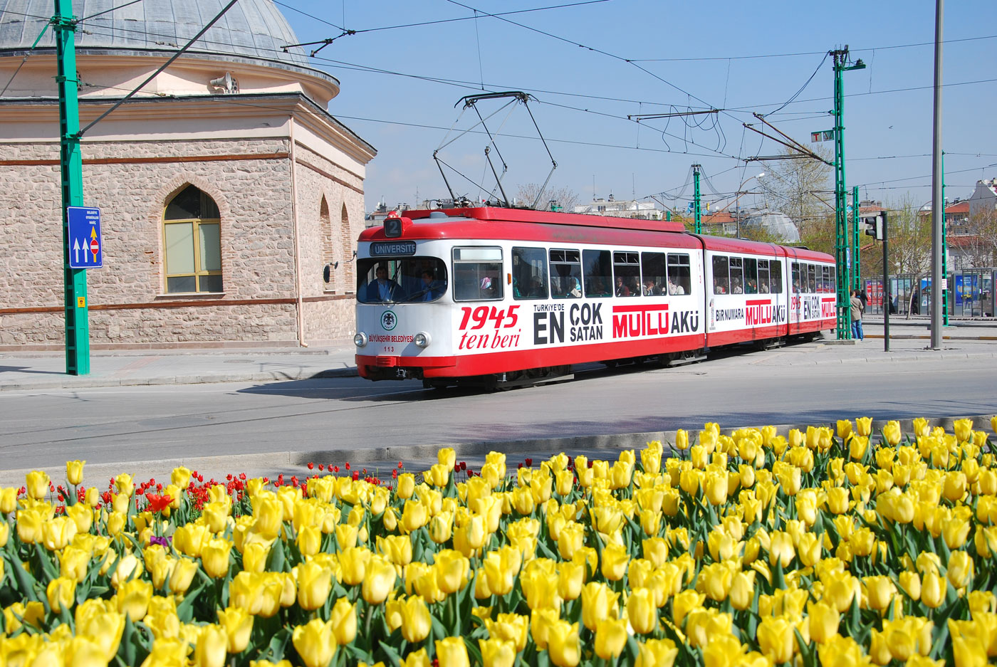 Konya Lale ve Sakuralarla Daha Güzel