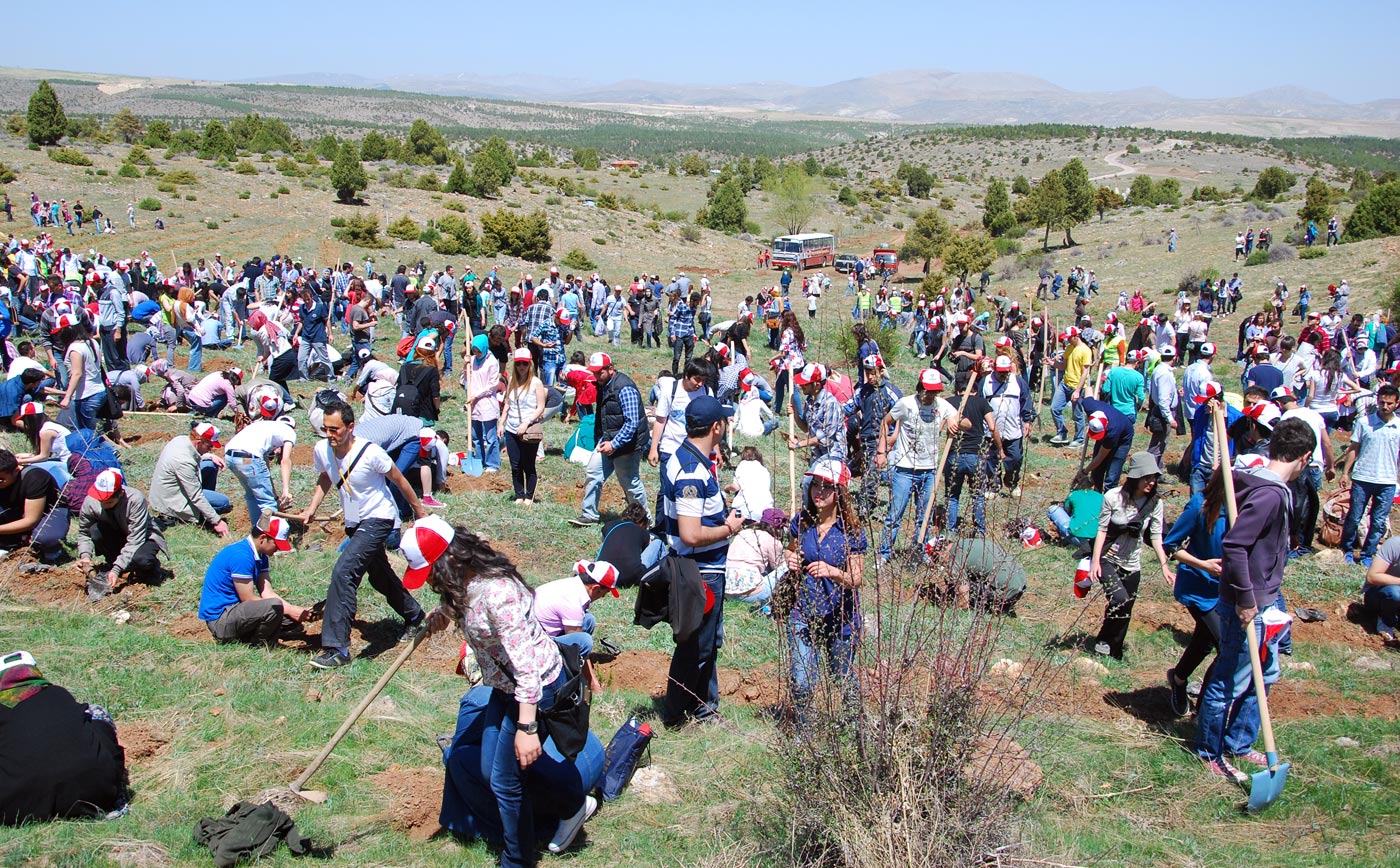 Gençler Binlerce Fidanı Toprakla Buluşturdu