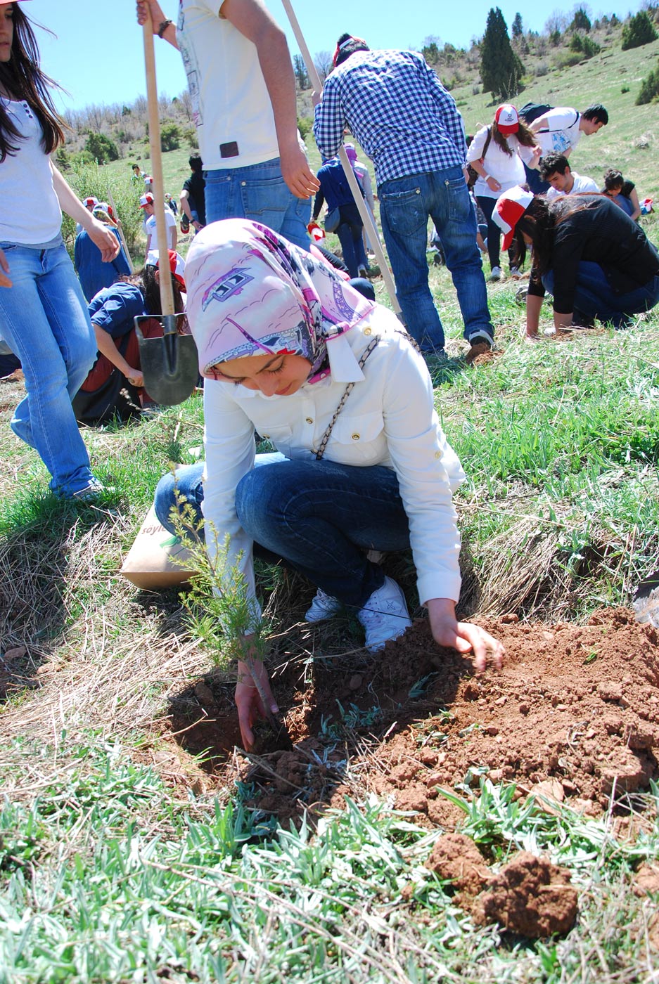Gençler Binlerce Fidanı Toprakla Buluşturdu