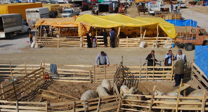 Büyükşehir Kurban Bayramı'na Hazır