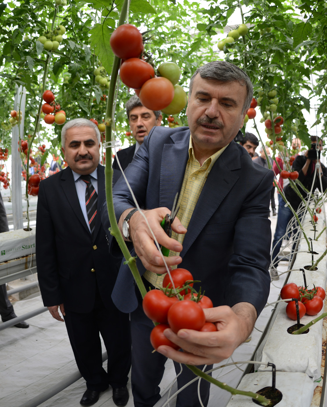Aslım Çöplüğü'ndeki Elektrik Tesisi'ne Kurulan Serada İlk Hasat Yapıldı