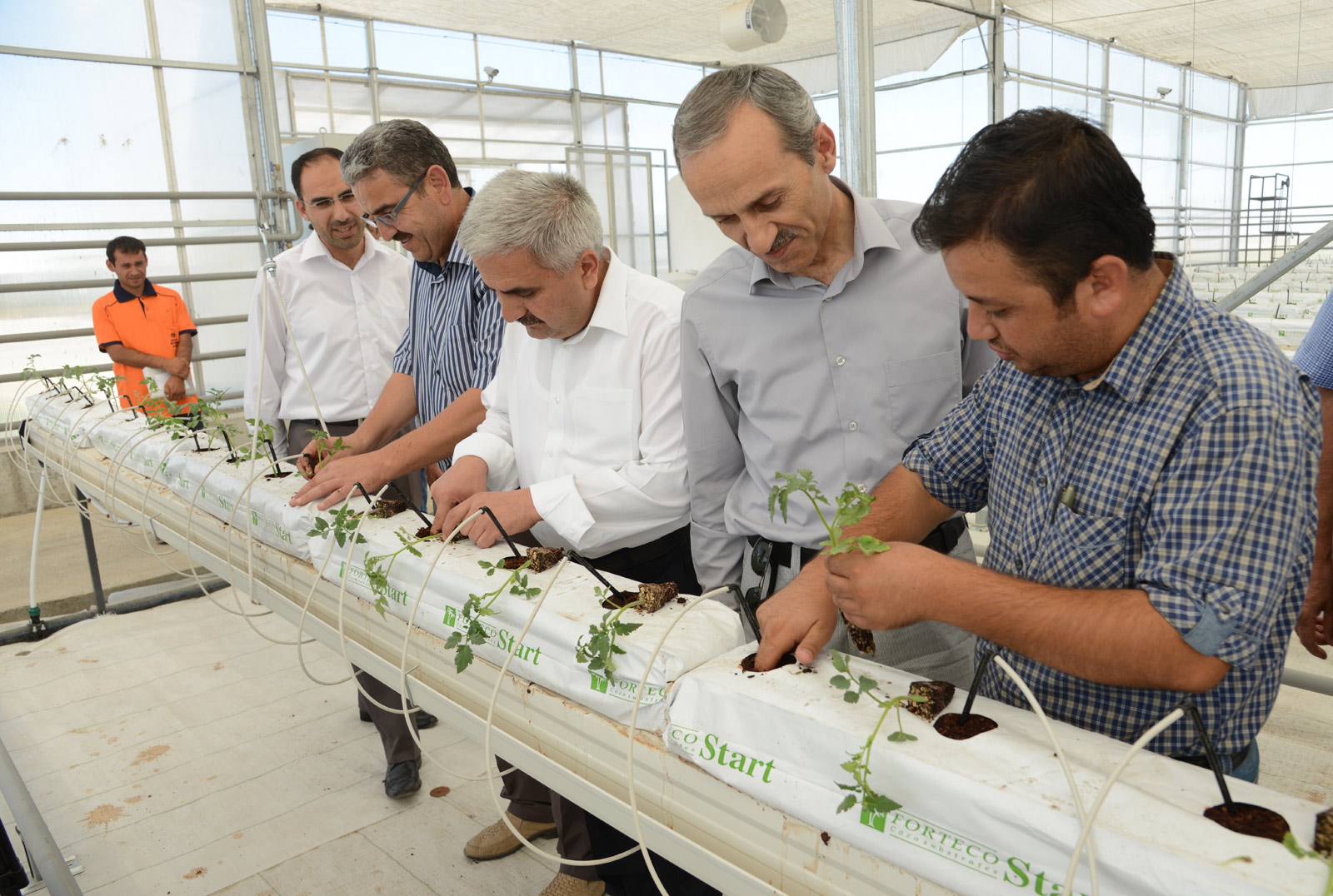 Çöplükte Elektrik Üretiminden Açığa Çıkan Isıyla Domates Üretimine Başlandı