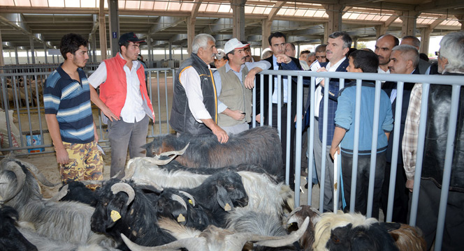 Başkan Akyürek Hayvan Park ve Pazar Yeri'nde Esnaflarla Bir Araya Geldi