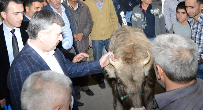 Başkan Akyürek Hayvan Park ve Pazar Yeri'nde Esnaflarla Bir Araya Geldi