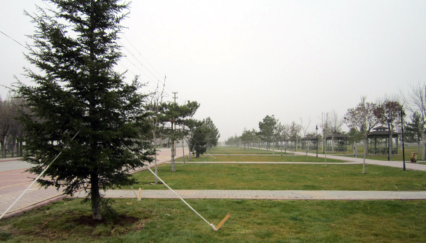 2012'de 768 Bin Fidan Toprakla Buluştu