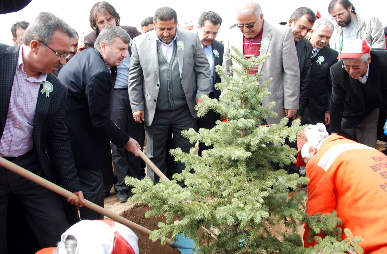 Büyükşehir, 2 Milyon Fidanı Toprakla Buluşturdu