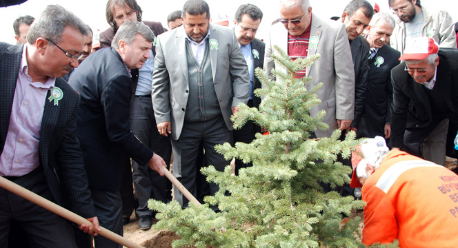 Büyükşehir, 2 Milyon Fidanı Toprakla Buluşturdu