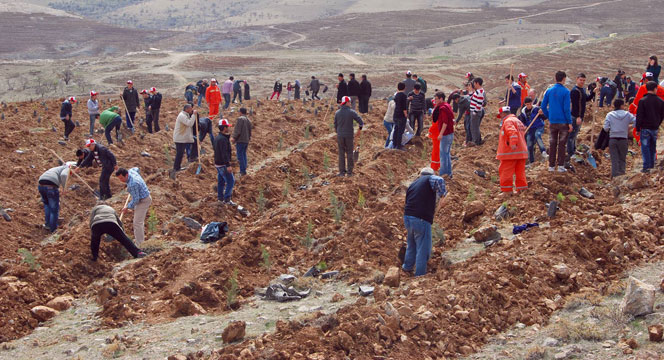 Büyükşehir, 2 Milyon Fidanı Toprakla Buluşturdu
